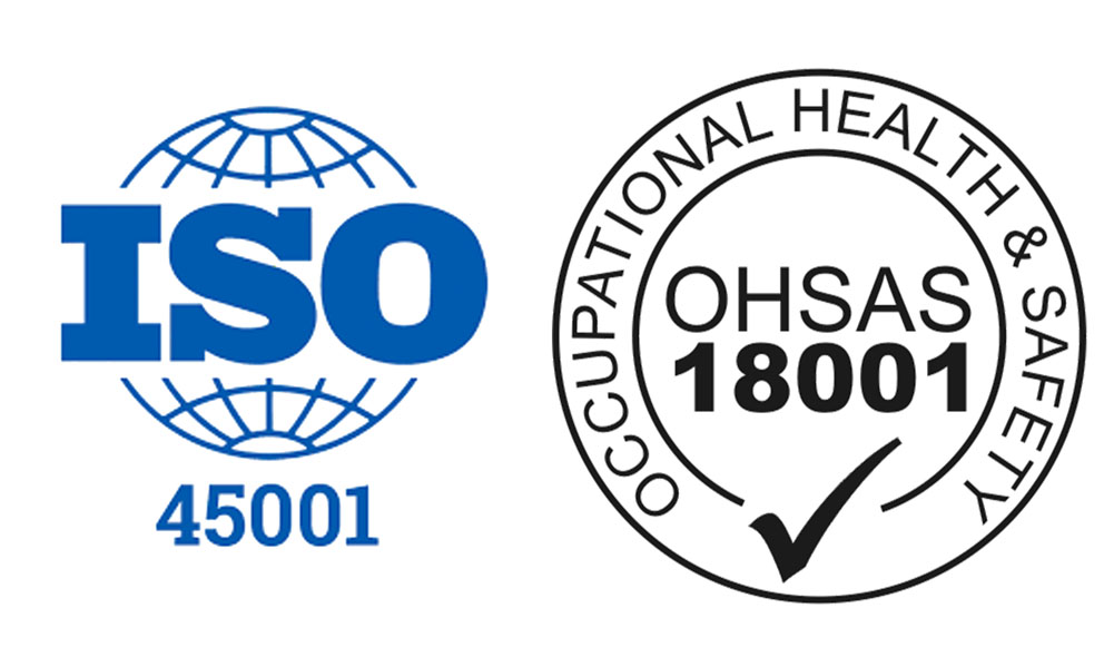 Audit des Management- und Arbeitsschutzsystems, Anpassung an die Norm OHSAS 18001/ISO 45001.